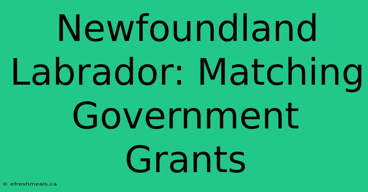 Newfoundland Labrador: Matching Government Grants