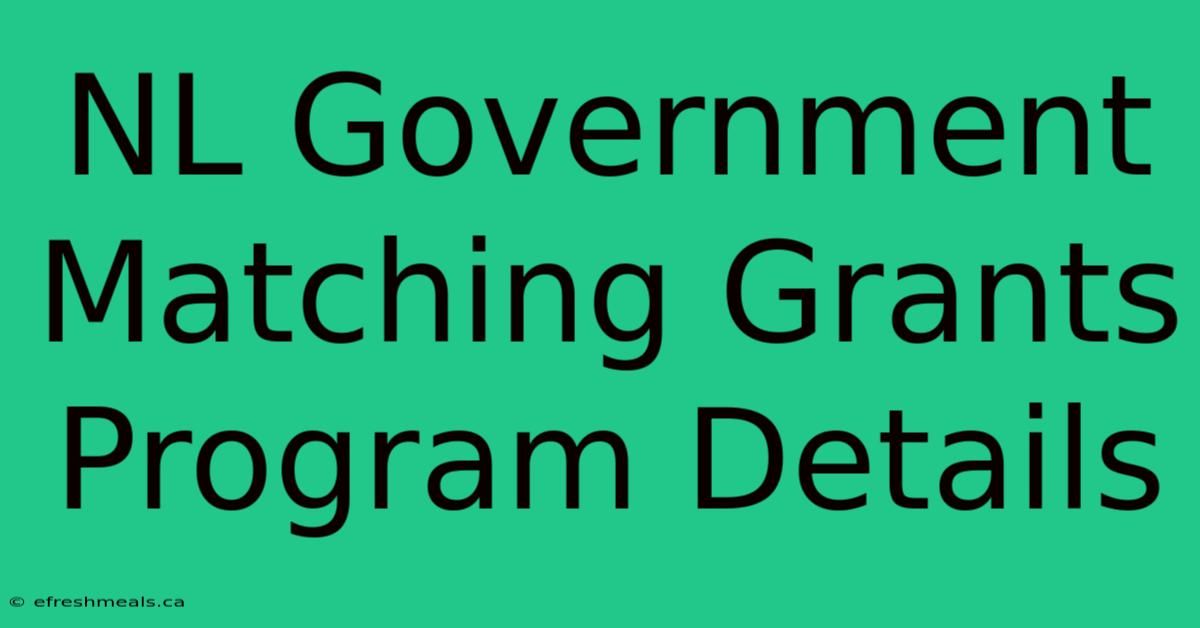 NL Government Matching Grants Program Details