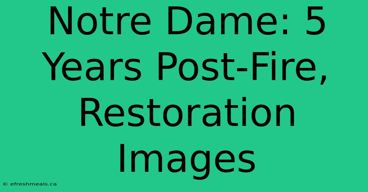 Notre Dame: 5 Years Post-Fire, Restoration Images