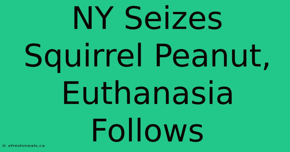 NY Seizes Squirrel Peanut, Euthanasia Follows 