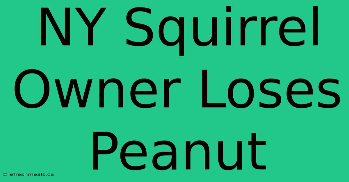 NY Squirrel Owner Loses Peanut 