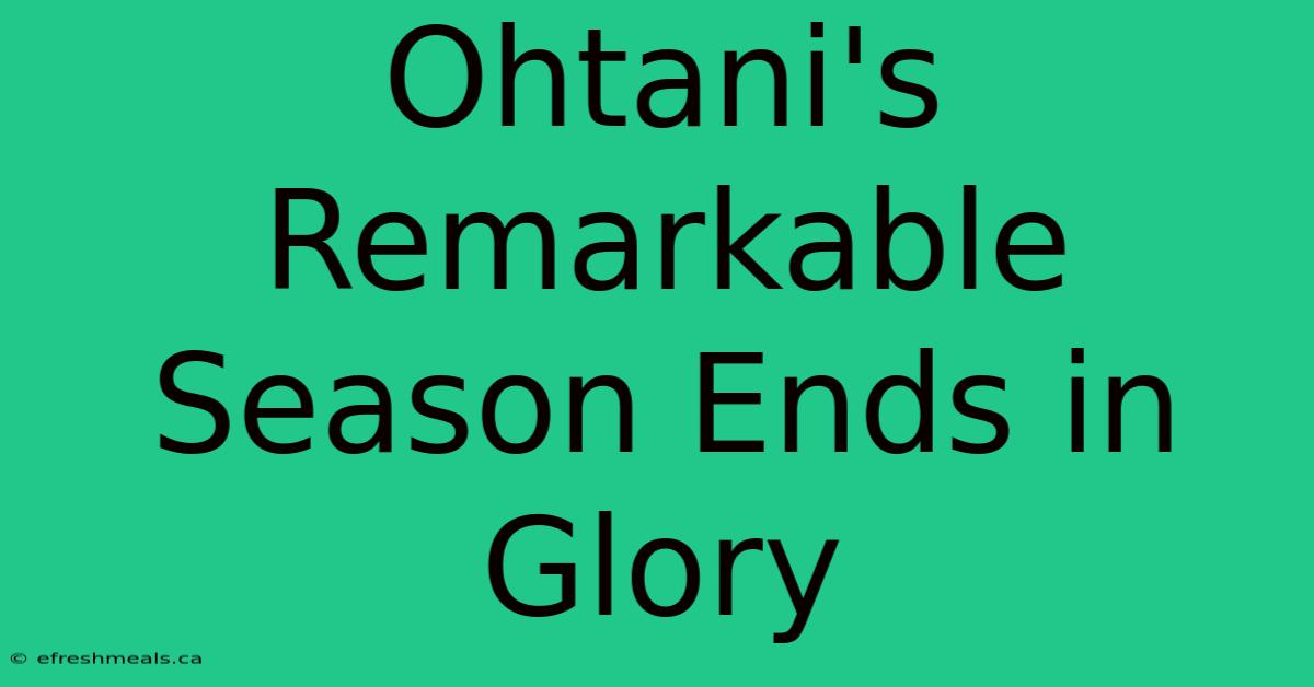 Ohtani's Remarkable Season Ends In Glory