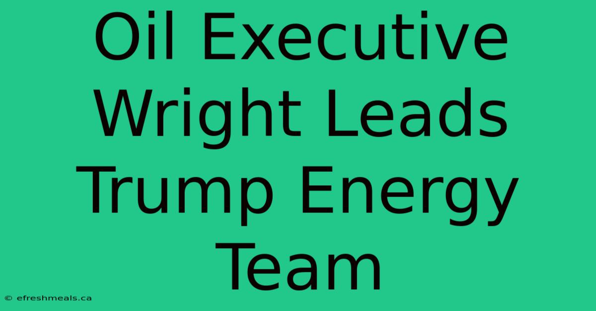 Oil Executive Wright Leads Trump Energy Team