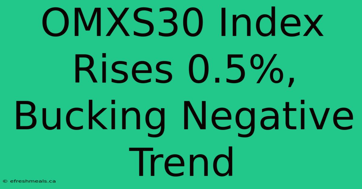 OMXS30 Index Rises 0.5%, Bucking Negative Trend