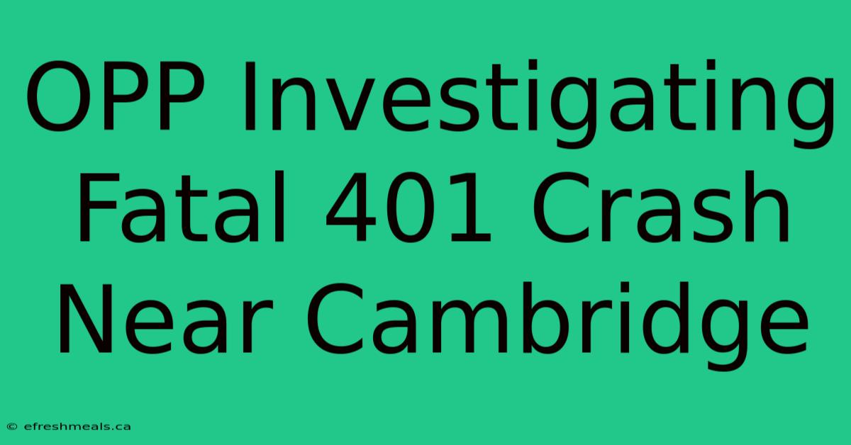 OPP Investigating Fatal 401 Crash Near Cambridge