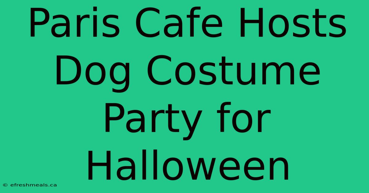 Paris Cafe Hosts Dog Costume Party For Halloween