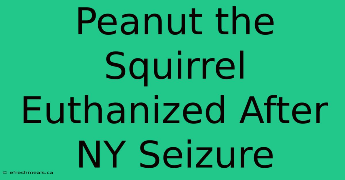 Peanut The Squirrel Euthanized After NY Seizure