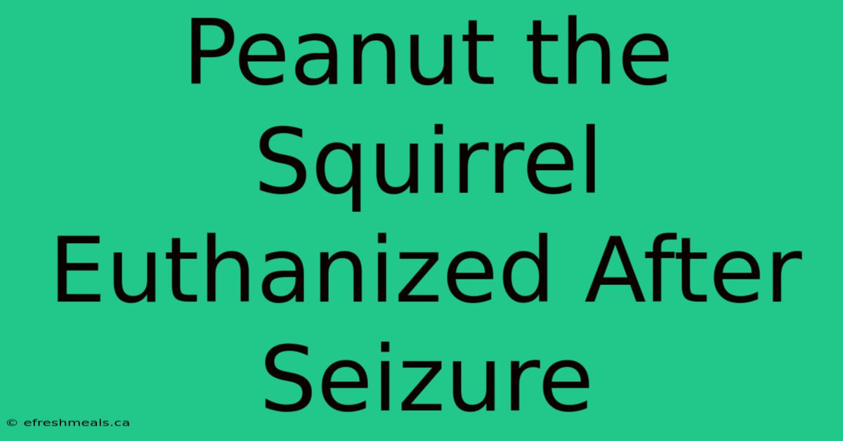 Peanut The Squirrel Euthanized After Seizure