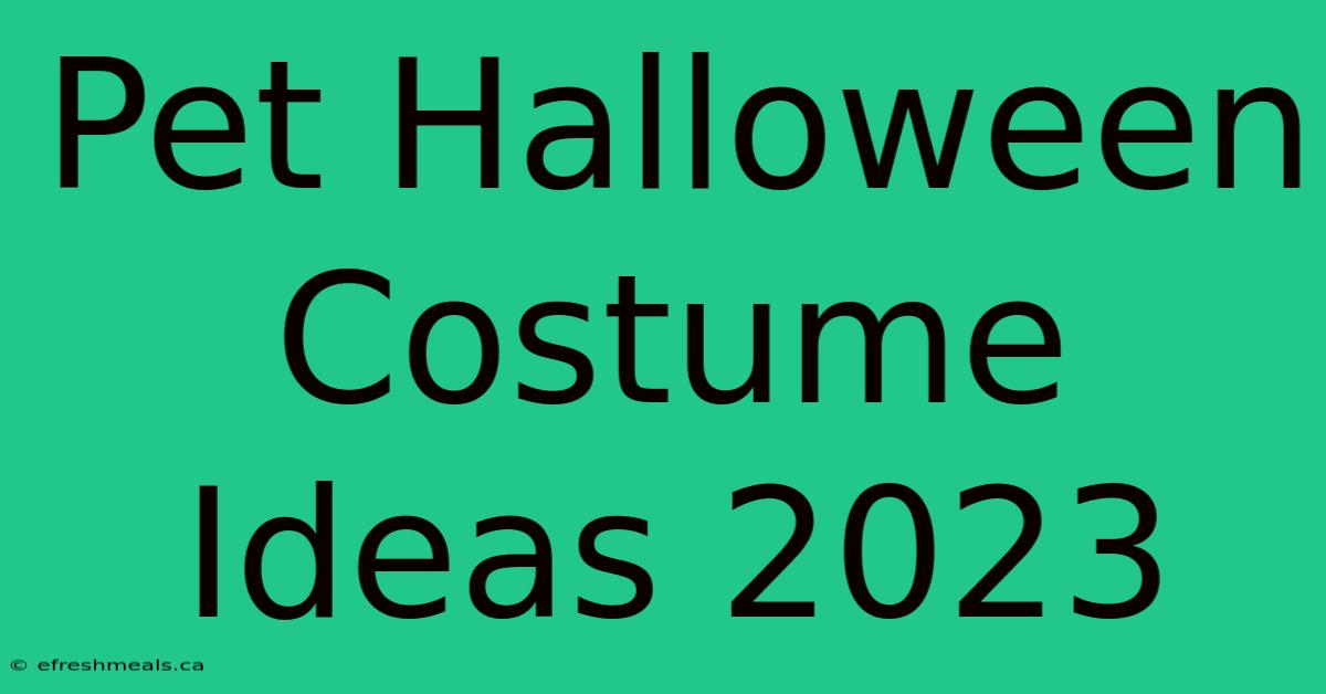 Pet Halloween Costume Ideas 2023 