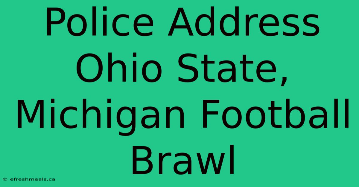 Police Address Ohio State, Michigan Football Brawl