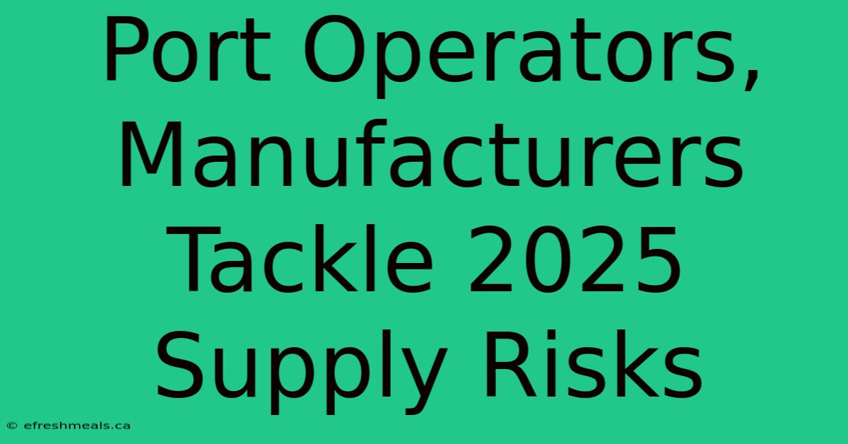 Port Operators, Manufacturers Tackle 2025 Supply Risks