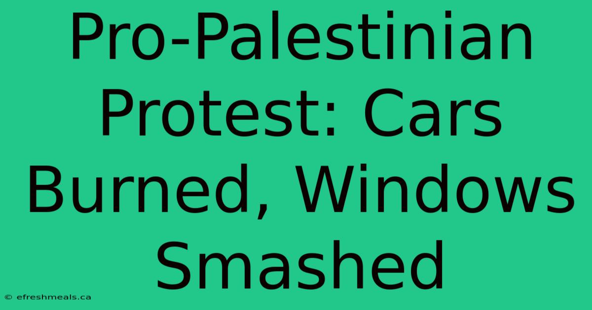 Pro-Palestinian Protest: Cars Burned, Windows Smashed