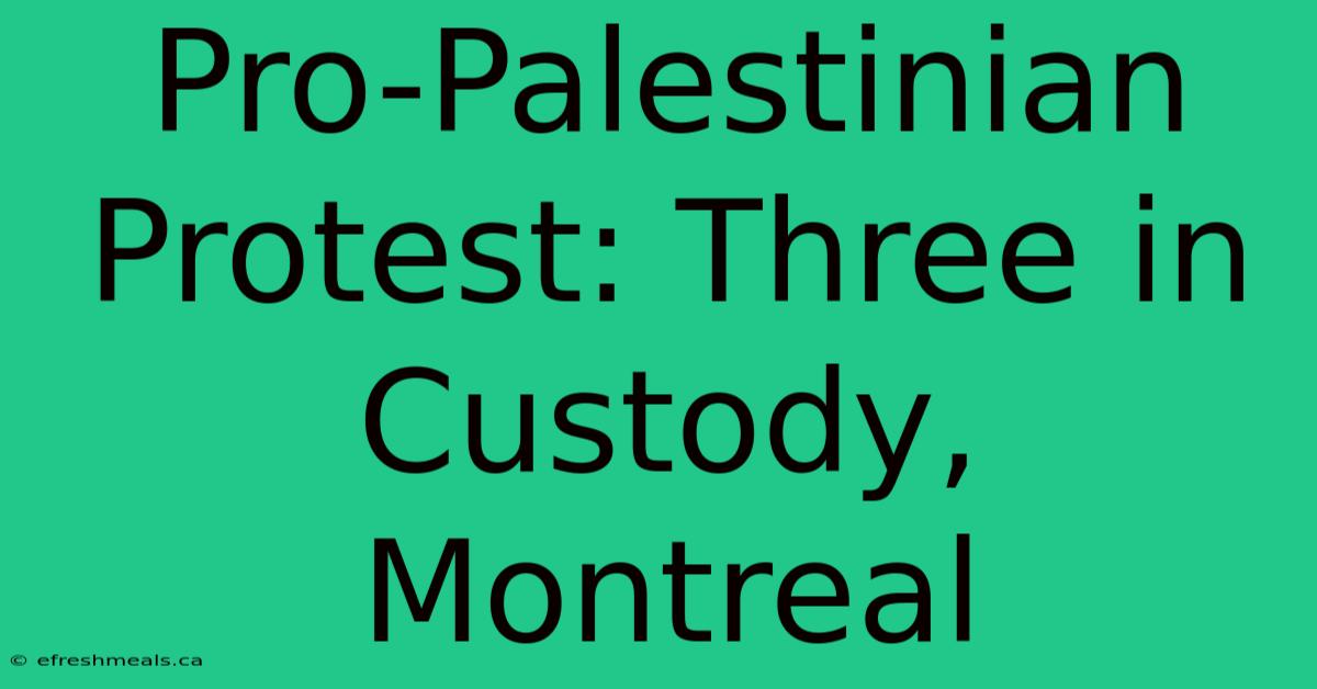 Pro-Palestinian Protest: Three In Custody, Montreal