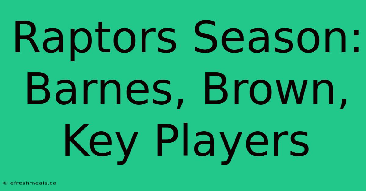 Raptors Season: Barnes, Brown, Key Players