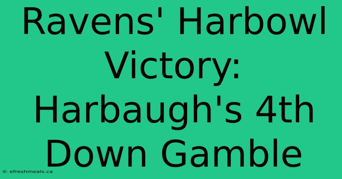 Ravens' Harbowl Victory: Harbaugh's 4th Down Gamble