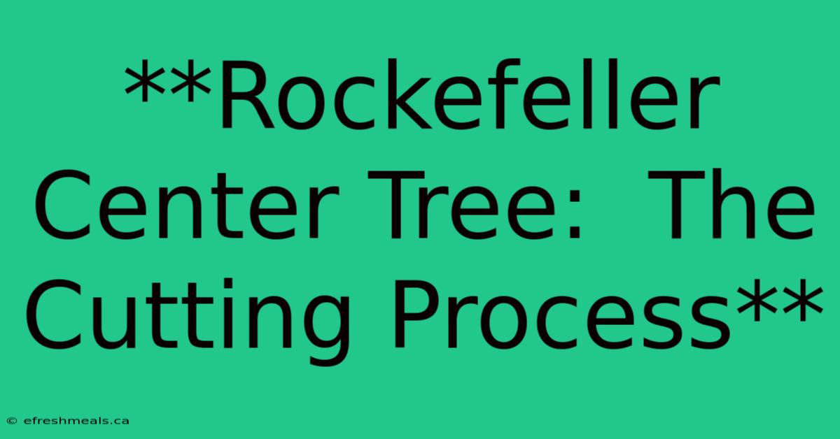 **Rockefeller Center Tree:  The Cutting Process**