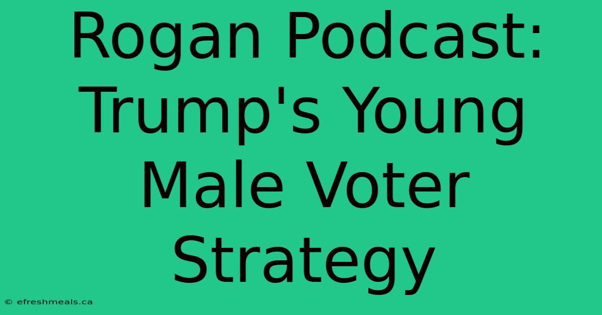 Rogan Podcast: Trump's Young Male Voter Strategy