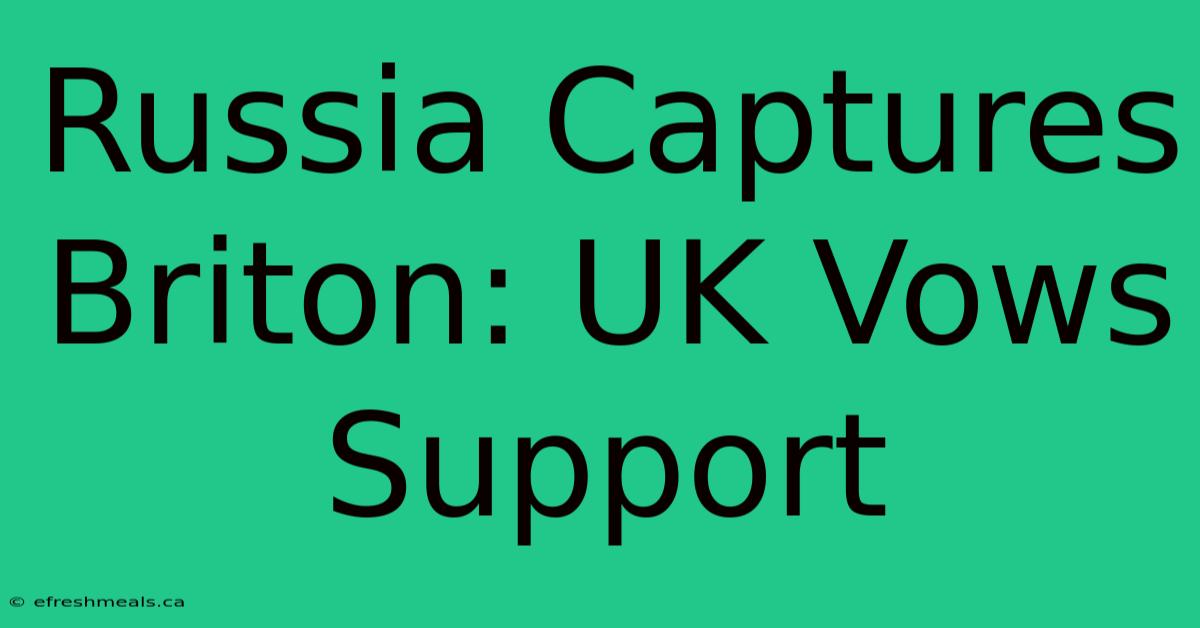 Russia Captures Briton: UK Vows Support