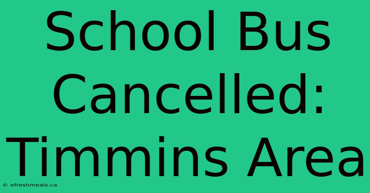 School Bus Cancelled: Timmins Area