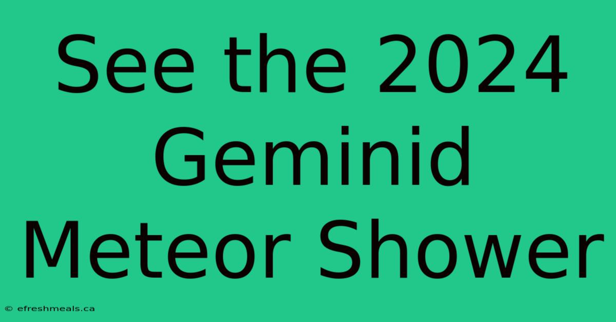 See The 2024 Geminid Meteor Shower