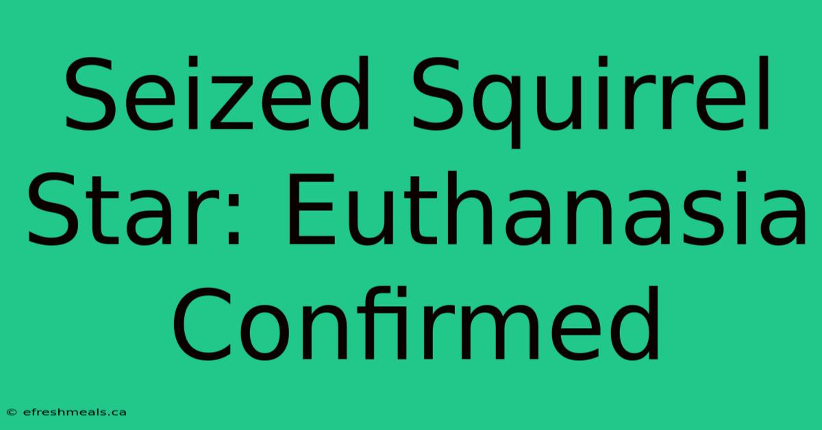 Seized Squirrel Star: Euthanasia Confirmed 