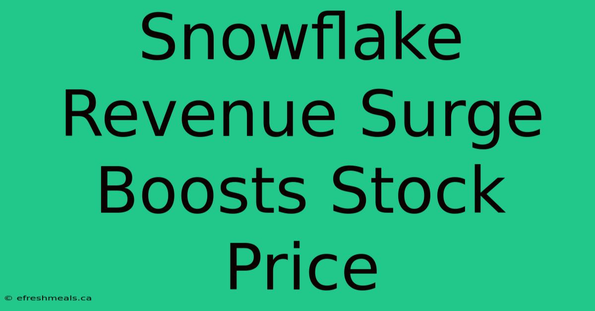 Snowflake Revenue Surge Boosts Stock Price