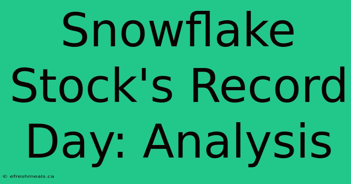 Snowflake Stock's Record Day: Analysis