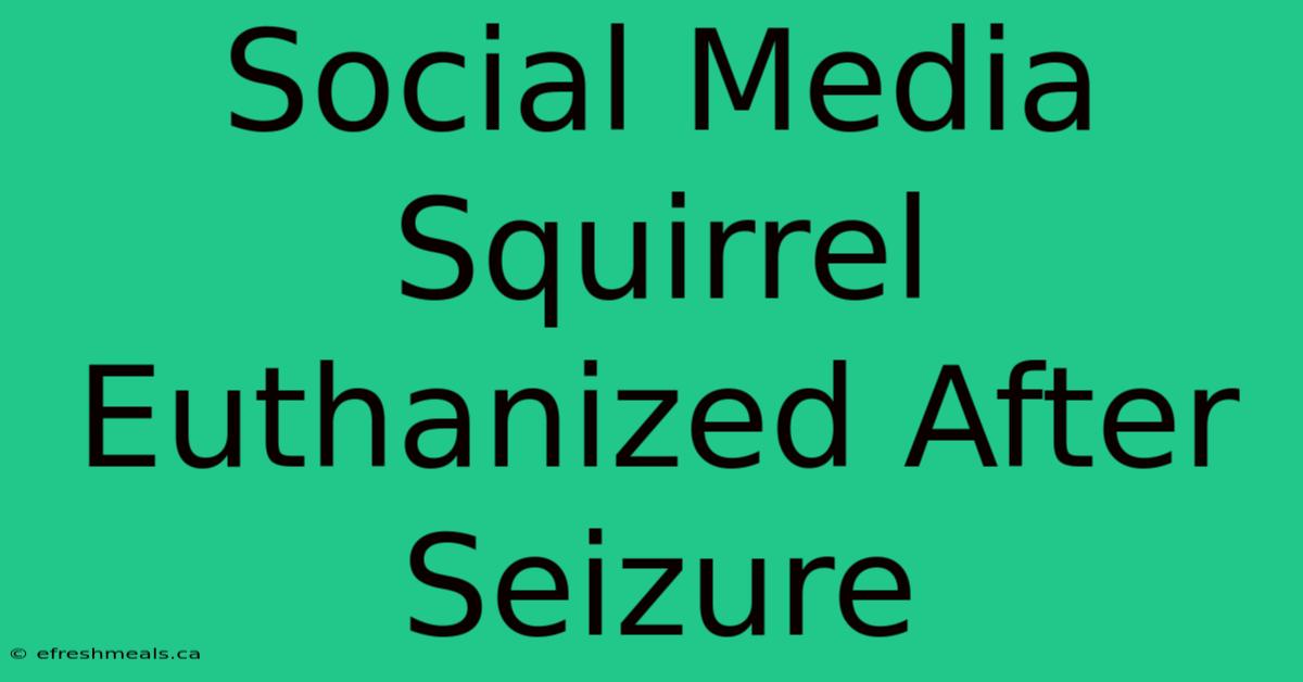 Social Media Squirrel Euthanized After Seizure