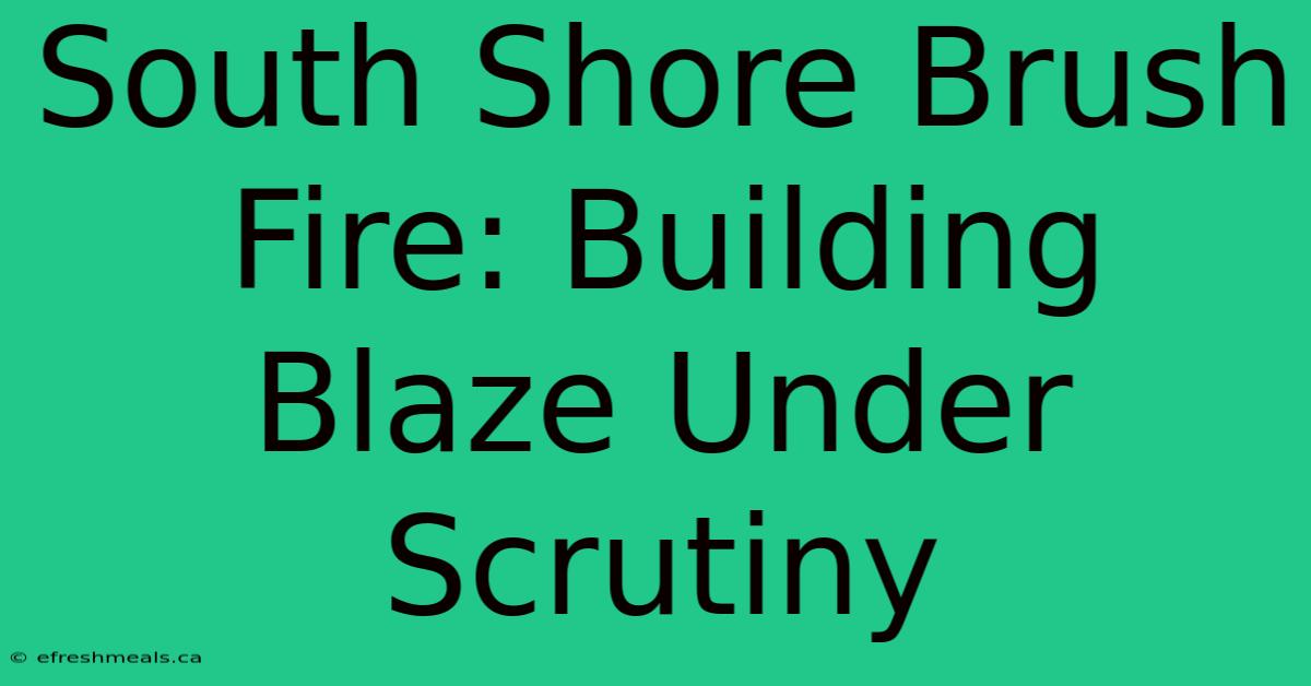 South Shore Brush Fire: Building Blaze Under Scrutiny