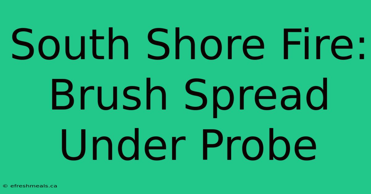 South Shore Fire: Brush Spread Under Probe