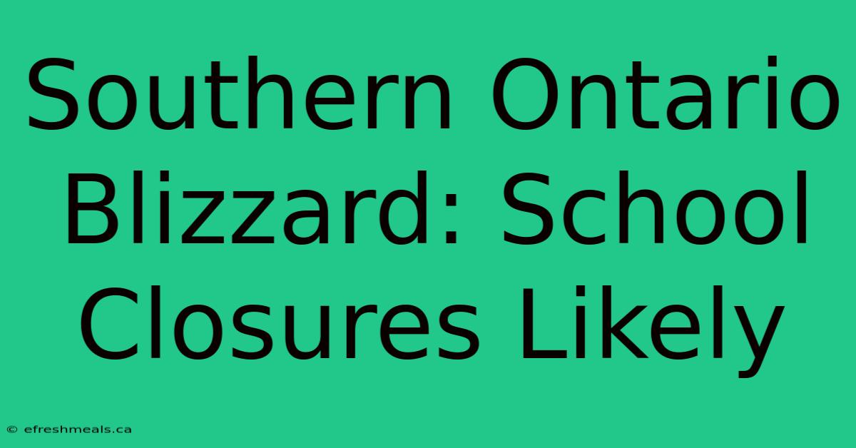 Southern Ontario Blizzard: School Closures Likely