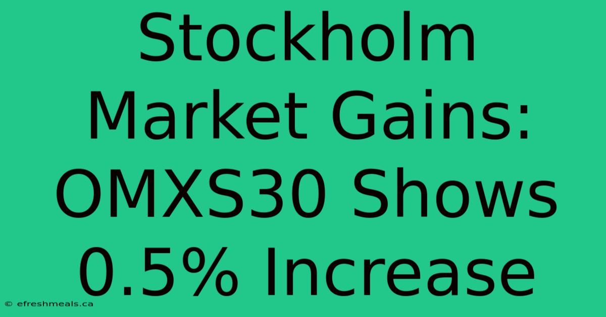 Stockholm Market Gains: OMXS30 Shows 0.5% Increase