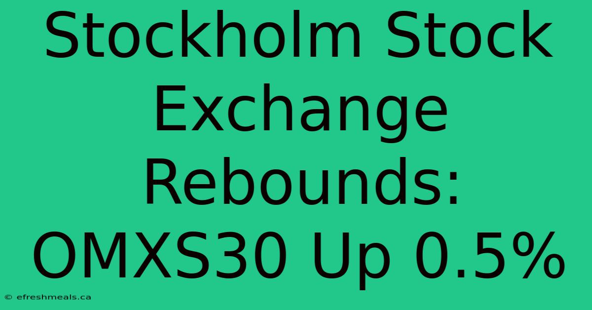 Stockholm Stock Exchange Rebounds: OMXS30 Up 0.5%