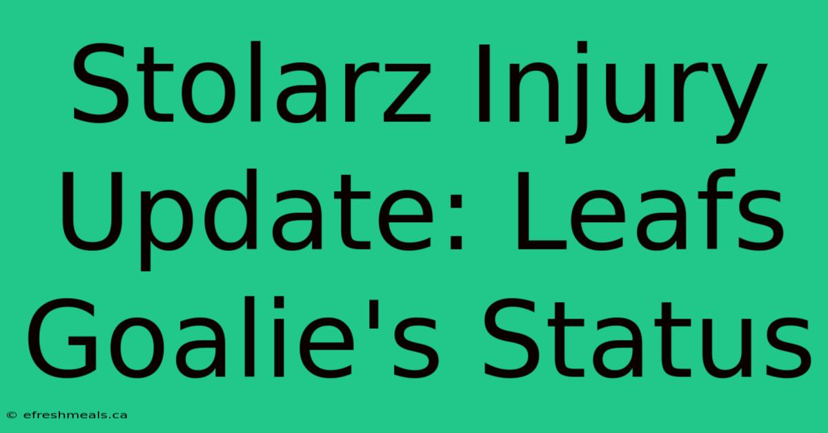 Stolarz Injury Update: Leafs Goalie's Status