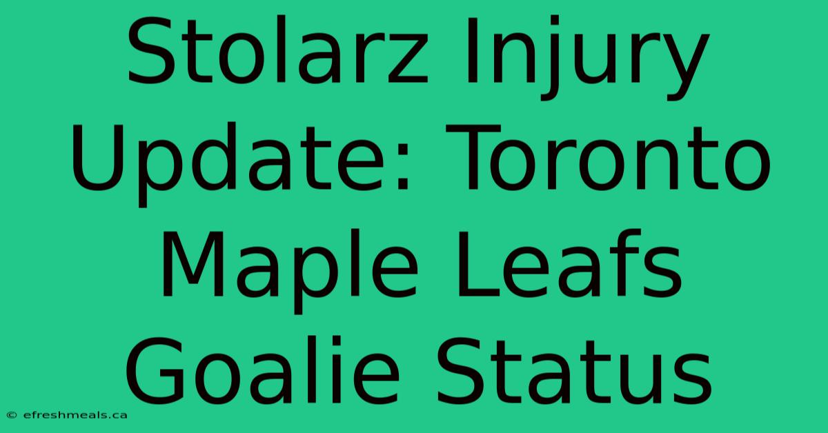 Stolarz Injury Update: Toronto Maple Leafs Goalie Status