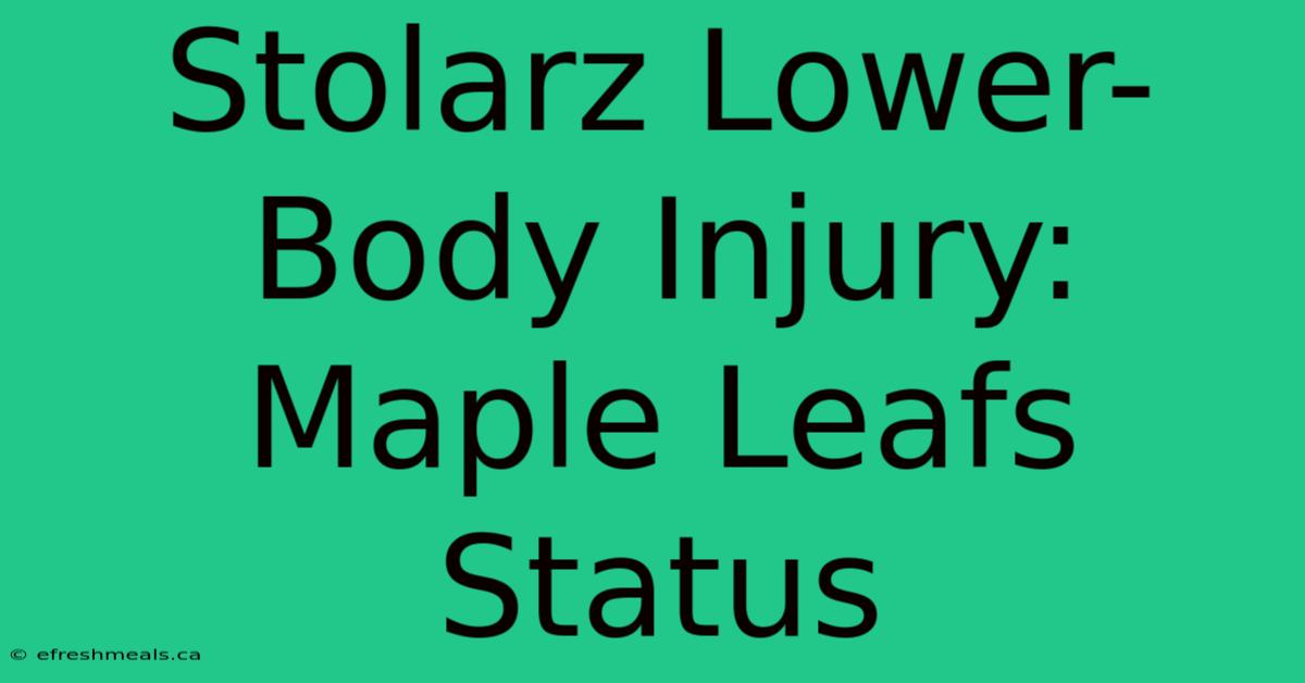 Stolarz Lower-Body Injury: Maple Leafs Status