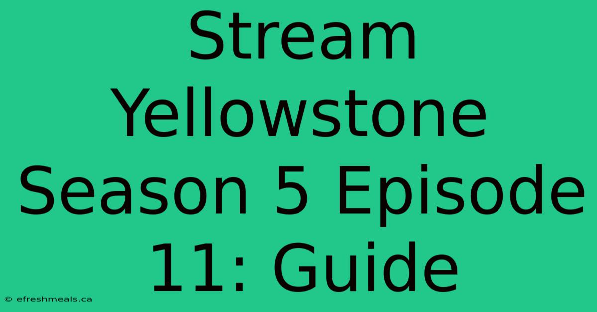 Stream Yellowstone Season 5 Episode 11: Guide