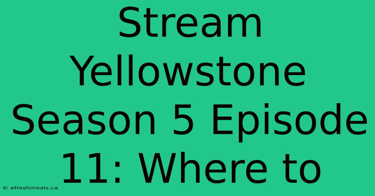 Stream Yellowstone Season 5 Episode 11: Where To