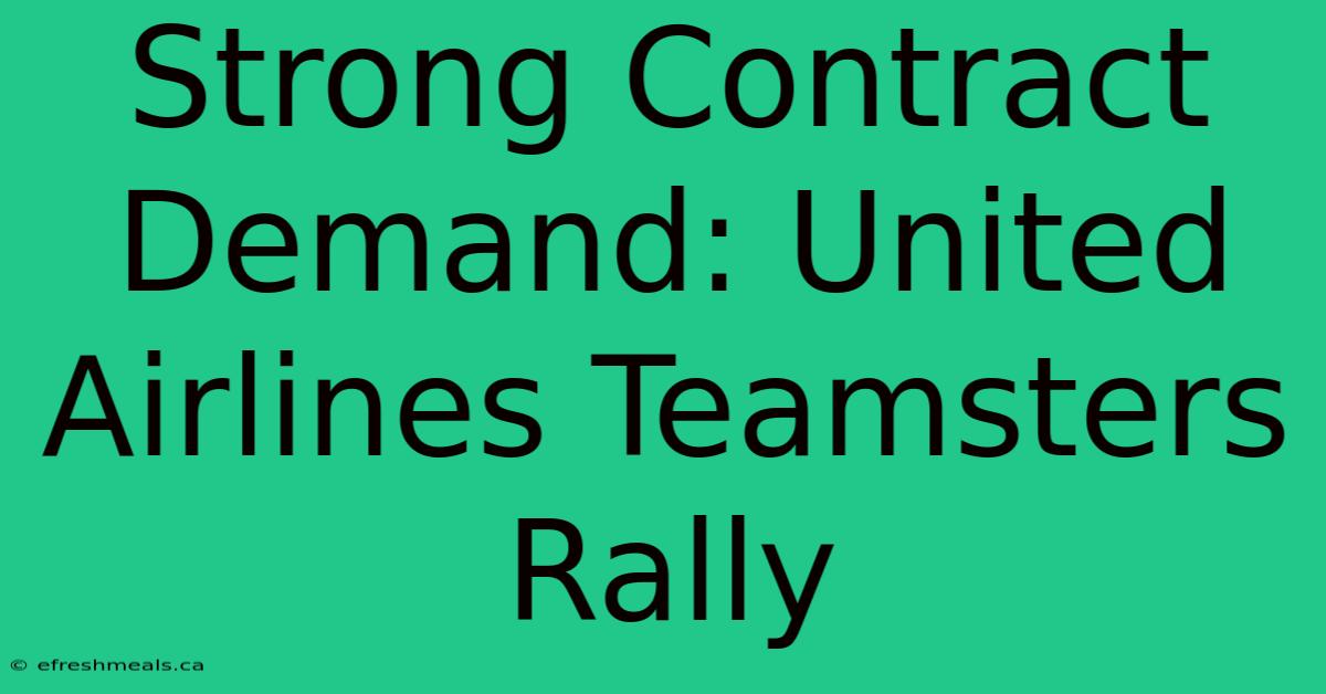 Strong Contract Demand: United Airlines Teamsters Rally