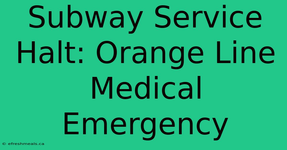 Subway Service Halt: Orange Line Medical Emergency