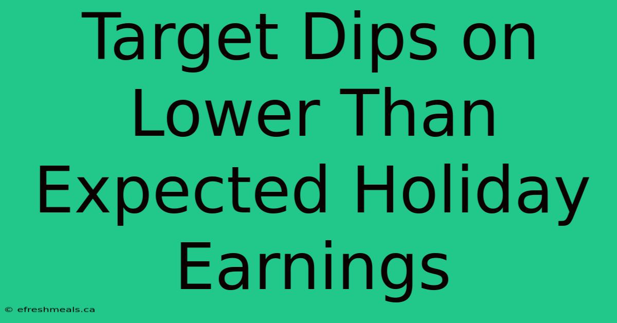 Target Dips On Lower Than Expected Holiday Earnings