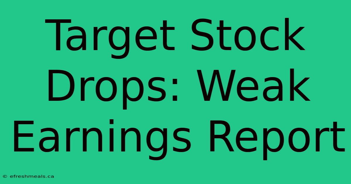 Target Stock Drops: Weak Earnings Report