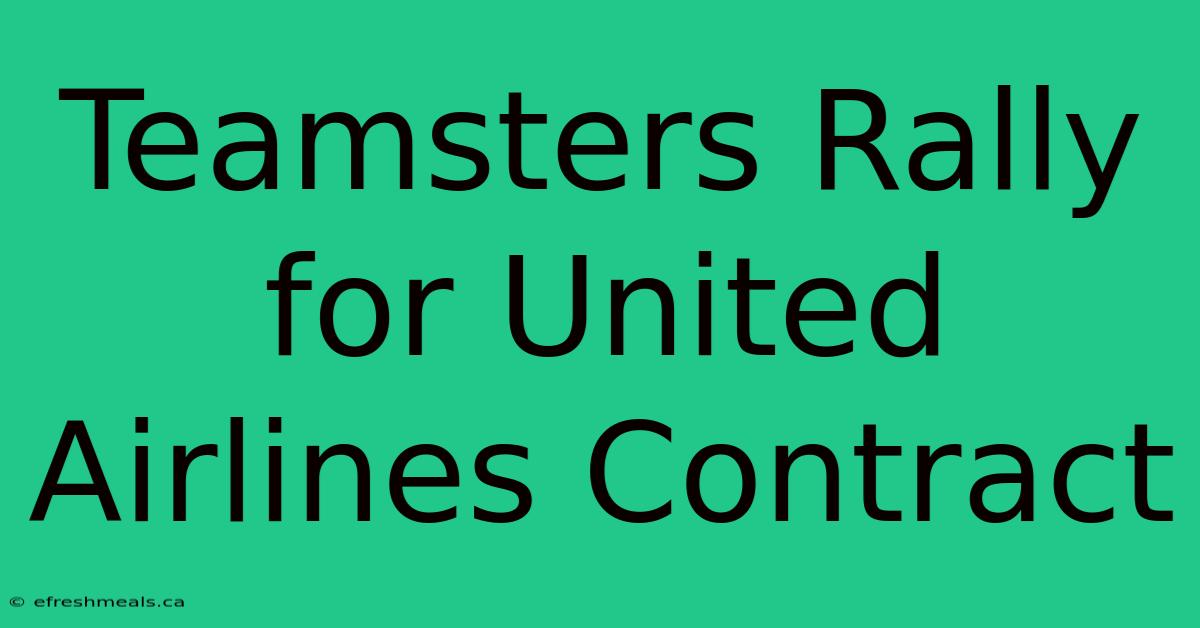 Teamsters Rally For United Airlines Contract