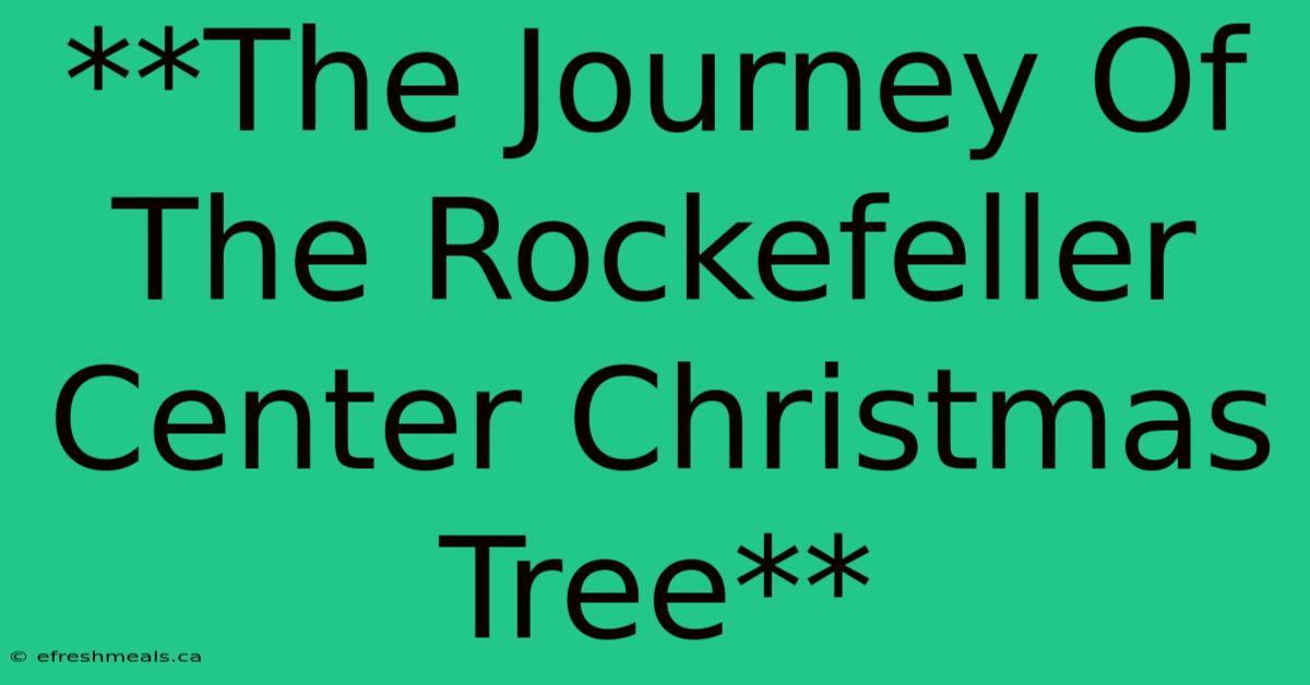 **The Journey Of The Rockefeller Center Christmas Tree** 