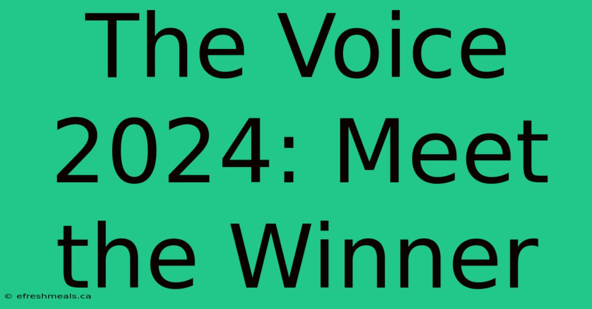 The Voice 2024: Meet The Winner