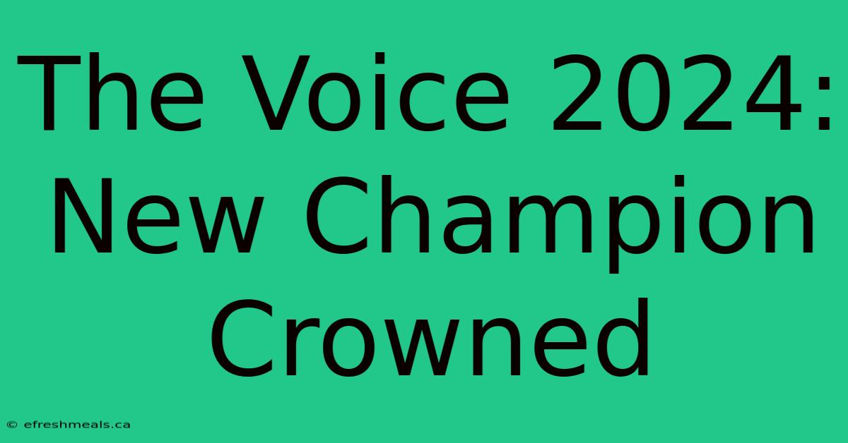 The Voice 2024: New Champion Crowned