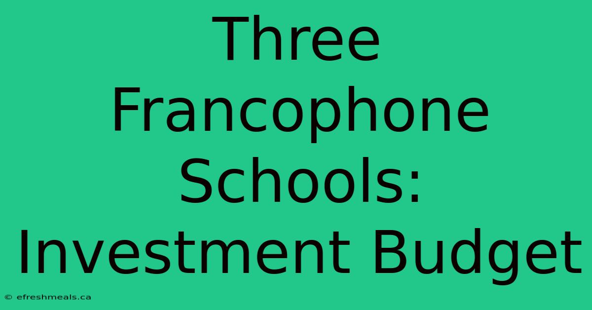 Three Francophone Schools: Investment Budget