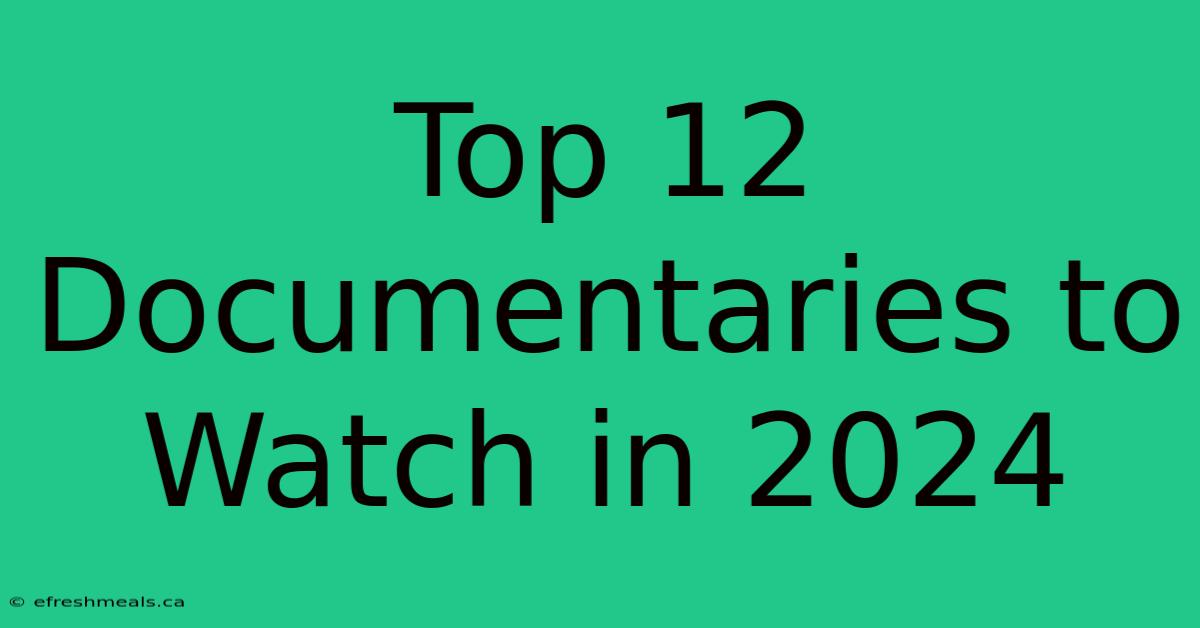 Top 12 Documentaries To Watch In 2024