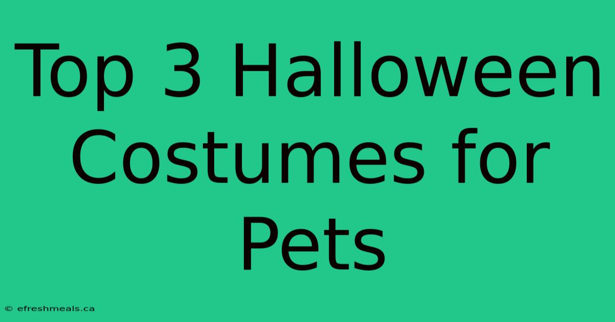 Top 3 Halloween Costumes For Pets