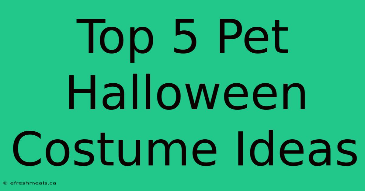 Top 5 Pet Halloween Costume Ideas